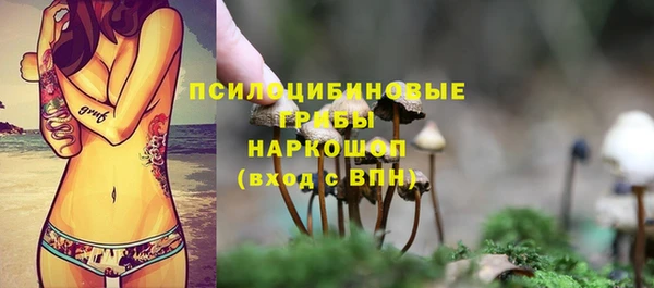 ПСИЛОЦИБИНОВЫЕ ГРИБЫ Абдулино
