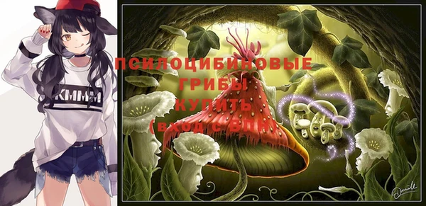 ПСИЛОЦИБИНОВЫЕ ГРИБЫ Абдулино