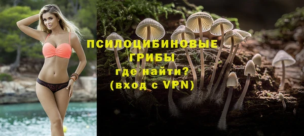 спайс Абаза
