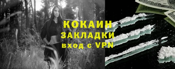 индика Нягань
