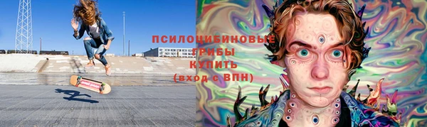 ПСИЛОЦИБИНОВЫЕ ГРИБЫ Абдулино