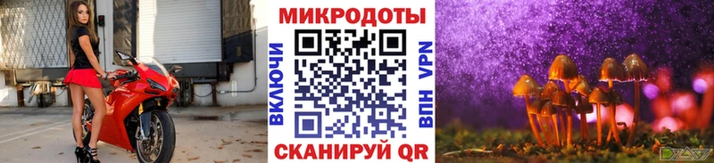 Псилоцибиновые грибы Cubensis  Невельск 